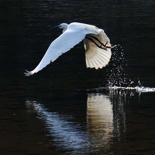 SK 유심 무료 교체, 당신의 안전을 지켜줄 절호의 기회! SK 유심 무료 교체, 당신의 안전을 지켜줄 절호의 기회!