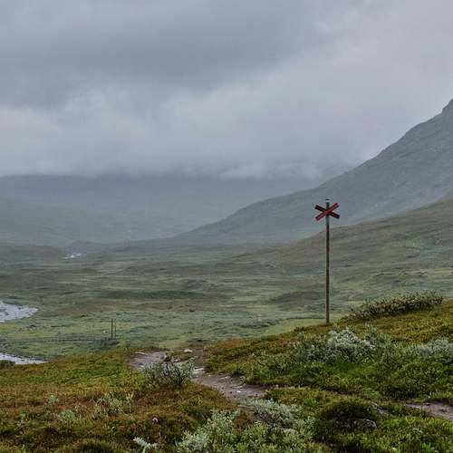 눈개승마의 모든 것: 그 강인한 자연의 힘과 효능 눈개승마의 모든 것: 그 강인한 자연의 힘과 효능