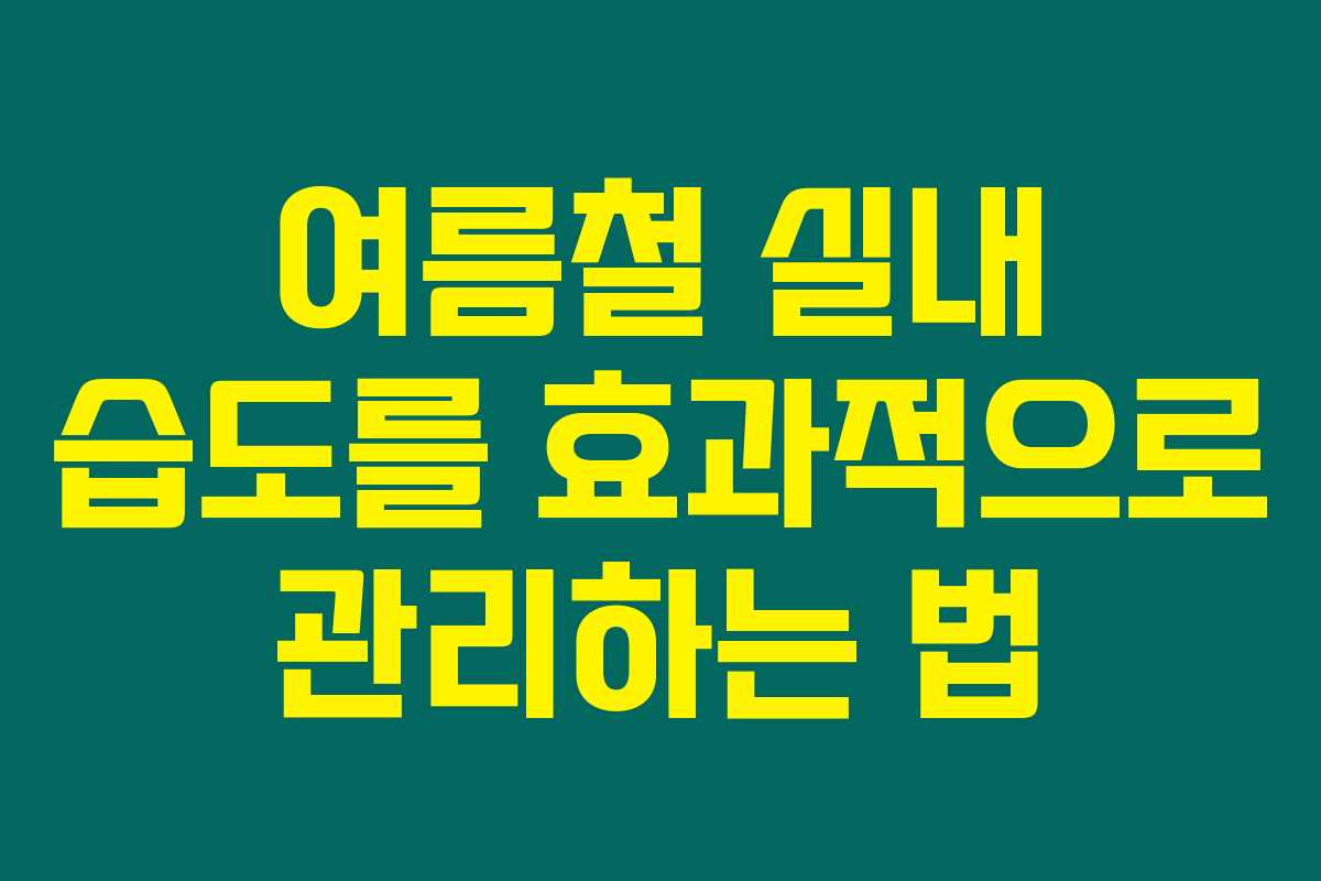 여름철 실내 습도를 효과적으로 관리하는 법