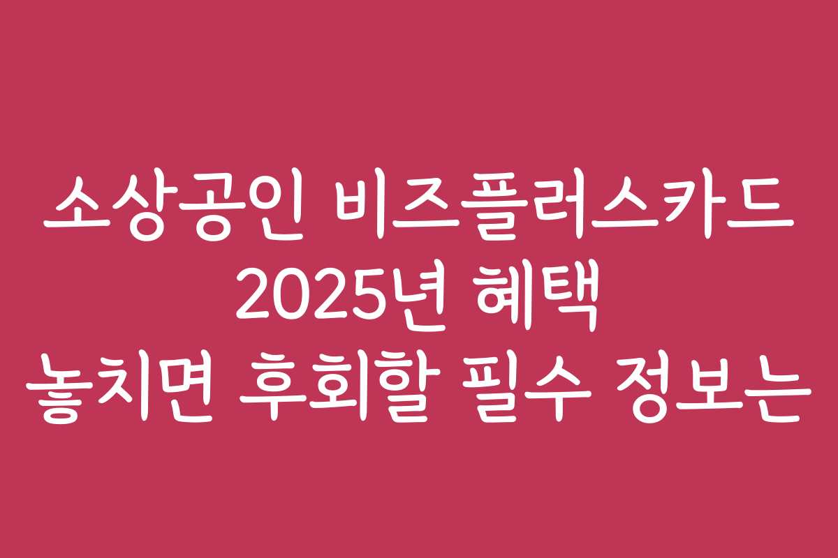 소상공인 비즈플러스카드 2025년 혜택 놓치면 후회할 필수 정보는