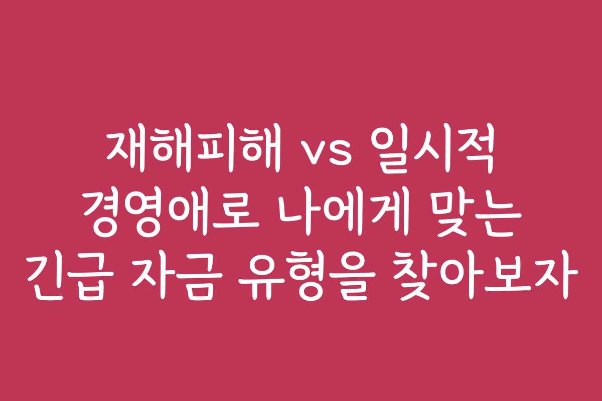 재해피해 vs 일시적 경영애로 나에게 맞는 긴급 자금 유형을 찾아보자 재해피해 vs 일시적 경영애로 나에게 맞는 긴급 자금 유형을 찾아보자