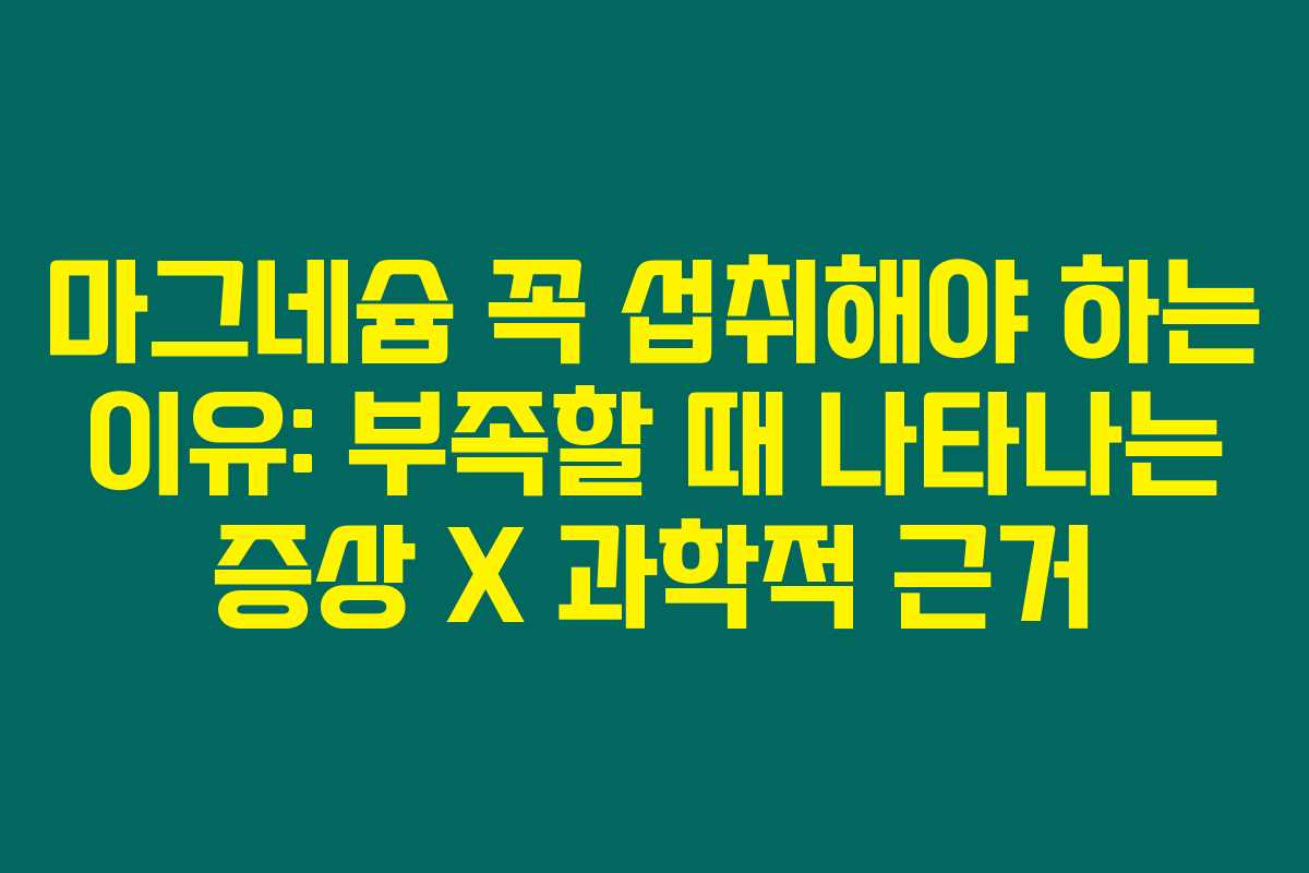 마그네슘 꼭 섭취해야 하는 이유: 부족할 때 나타나는 증상 X 과학적 근거