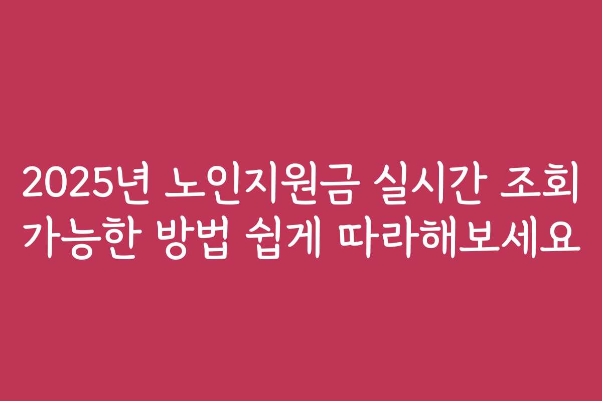 2025년 노인지원금 실시간 조회 가능한 방법 쉽게 따라해보세요