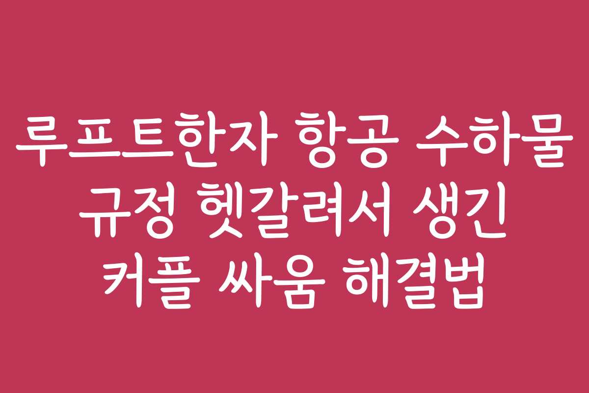 루프트한자 항공 수하물 규정 헷갈려서 생긴 커플 싸움 해결법