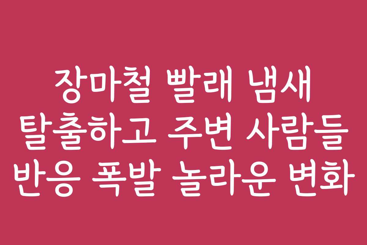 장마철 빨래 냄새 탈출하고 주변 사람들 반응 폭발 놀라운 변화