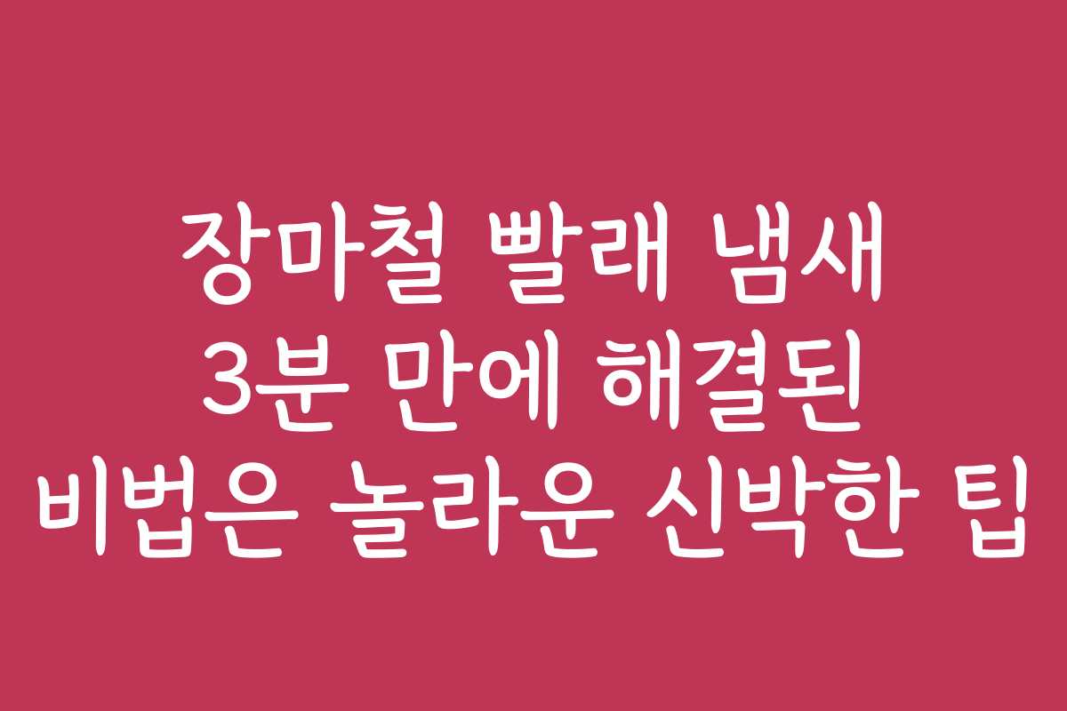 장마철 빨래 냄새 3분 만에 해결된 비법은 놀라운 신박한 팁