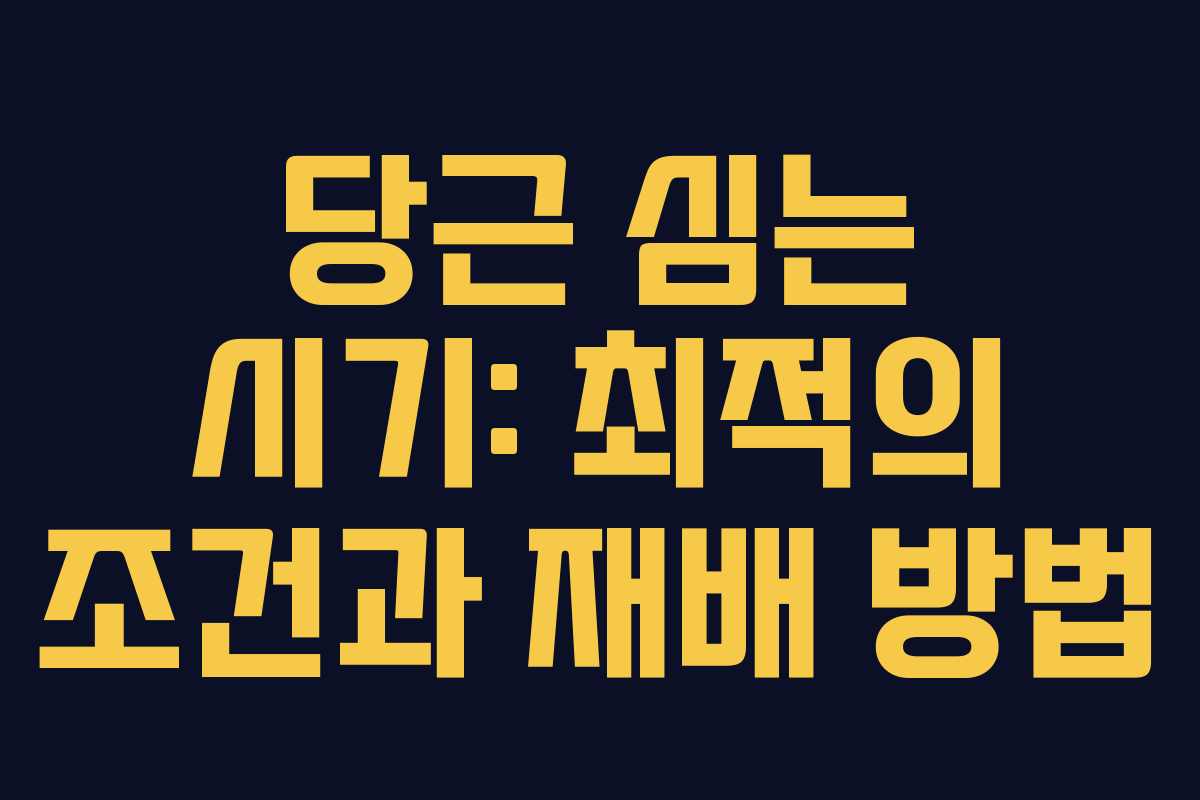당근 심는 시기: 최적의 조건과 재배 방법