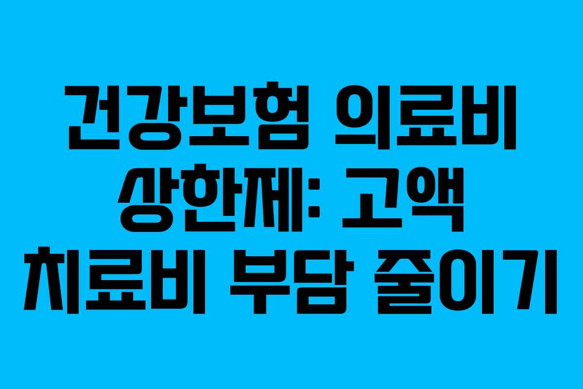 건강보험 의료비 상한제: 고액 치료비 부담 줄이기