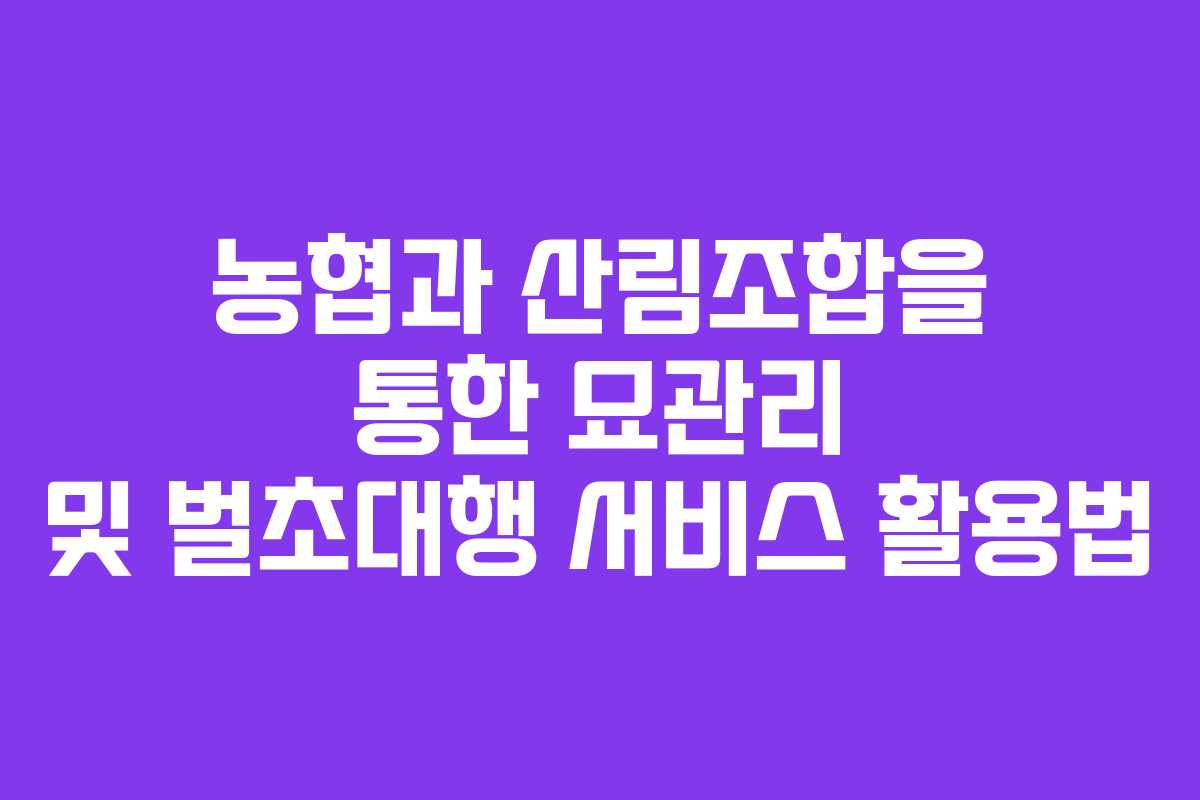 농협과 산림조합을 통한 묘관리 및 벌초대행 서비스 활용법