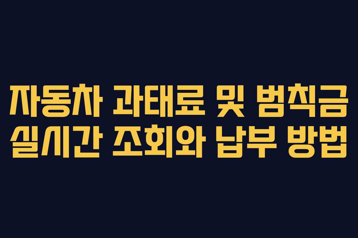 자동차 과태료 및 범칙금 실시간 조회와 납부 방법