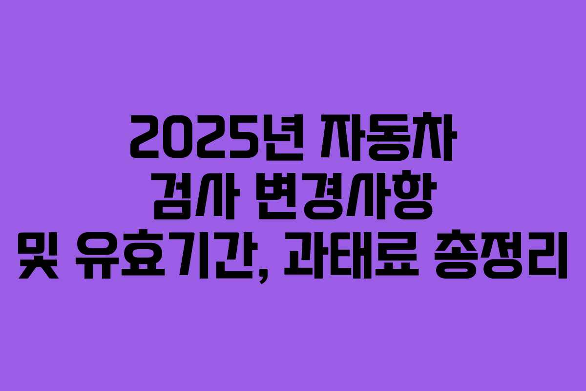 2025년 자동차 검사 변경사항 및 유효기간, 과태료 총정리