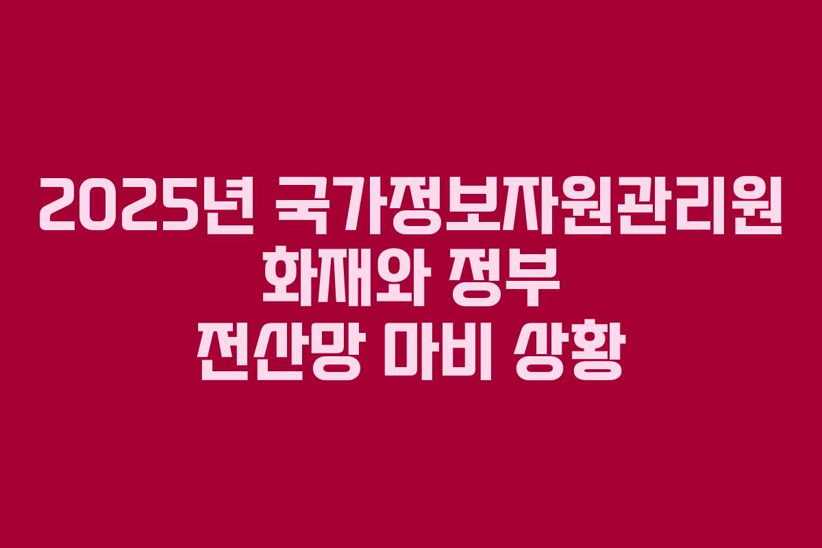 2025년 국가정보자원관리원 화재와 정부 전산망 마비 상황