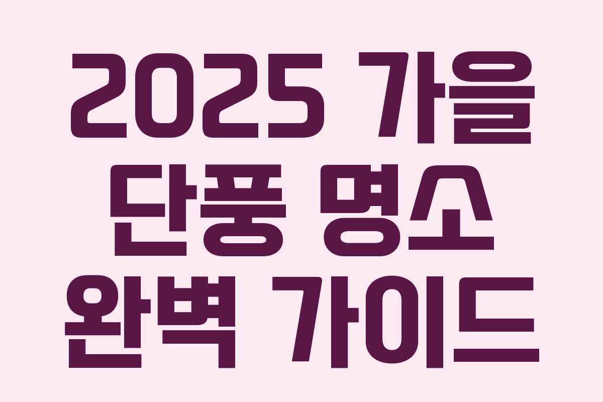2025 가을 단풍 명소 완벽 가이드