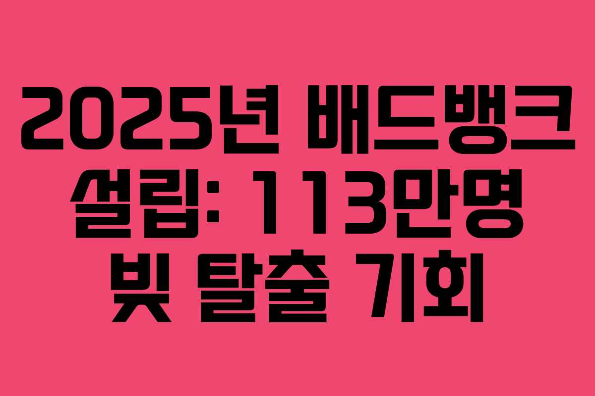 2025년 배드뱅크 설립: 113만명 빚 탈출 기회