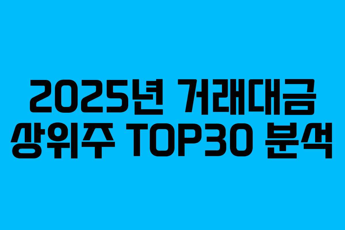 2025년 거래대금 상위주 TOP30 분석 2025년 거래대금 상위주 TOP30 분석