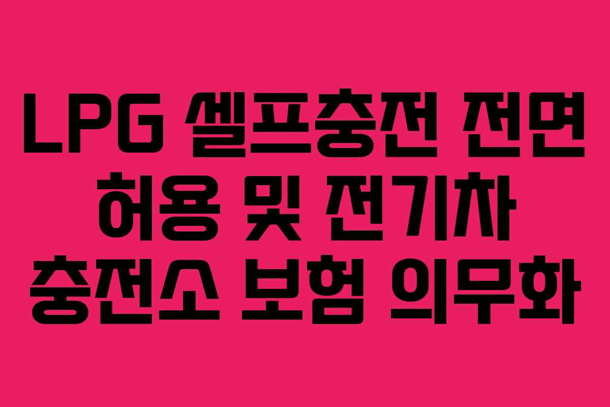 LPG 셀프충전 전면 허용 및 전기차 충전소 보험 의무화