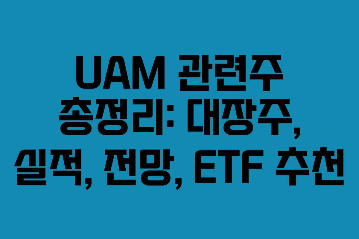 UAM 관련주 총정리: 대장주, 실적, 전망, ETF 추천