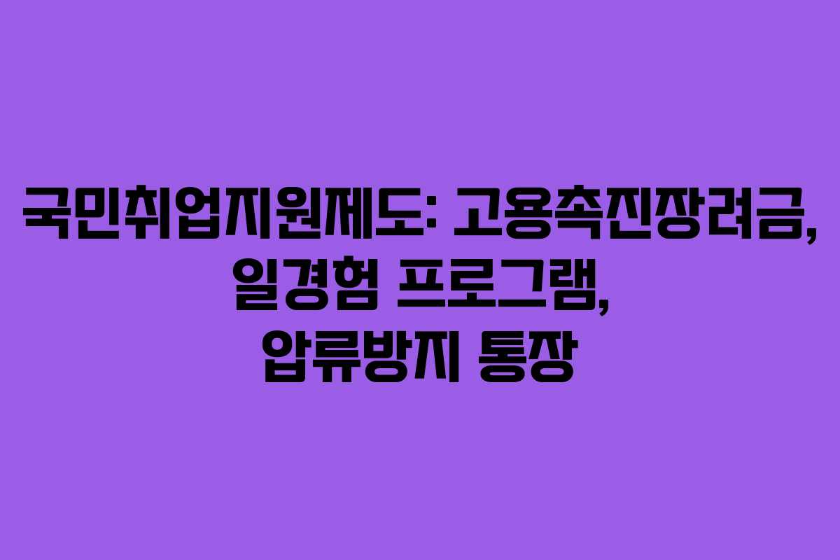 국민취업지원제도: 고용촉진장려금, 일경험 프로그램, 압류방지 통장