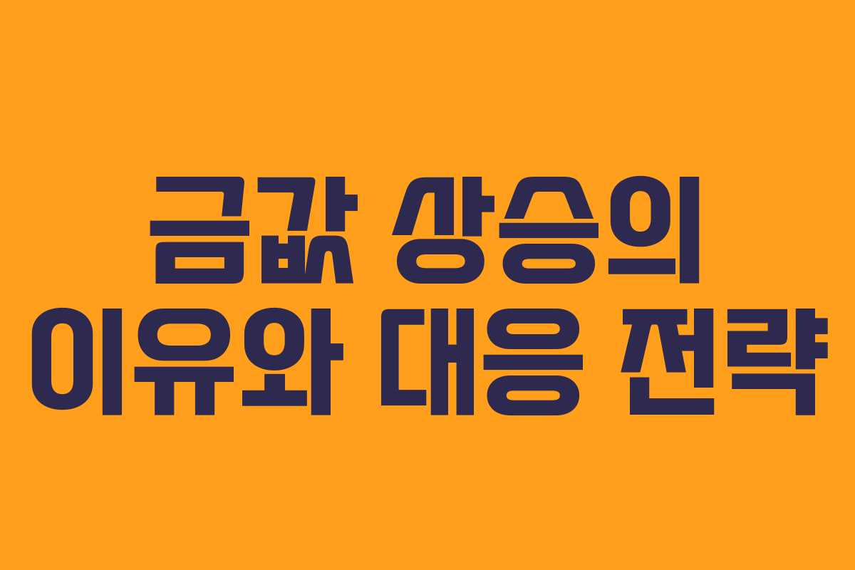 금값 상승의 이유와 대응 전략