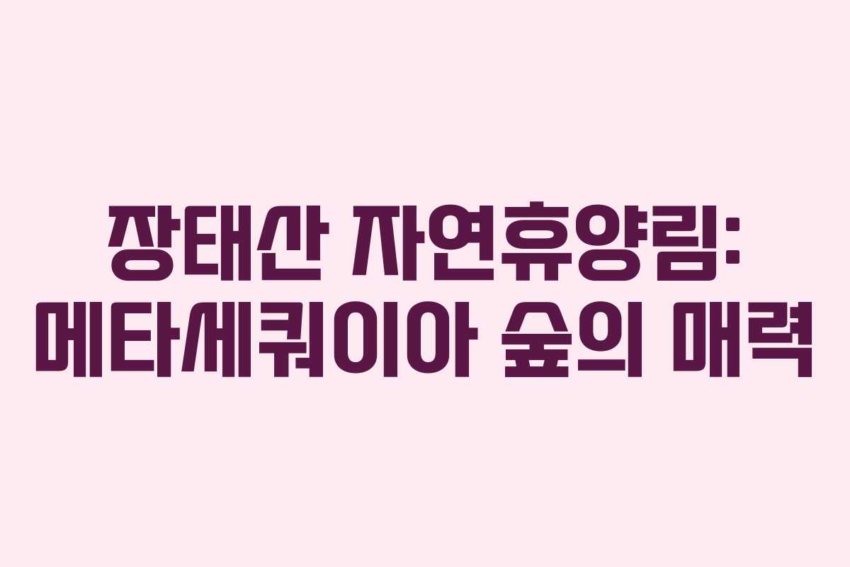 장태산 자연휴양림: 메타세쿼이아 숲의 매력