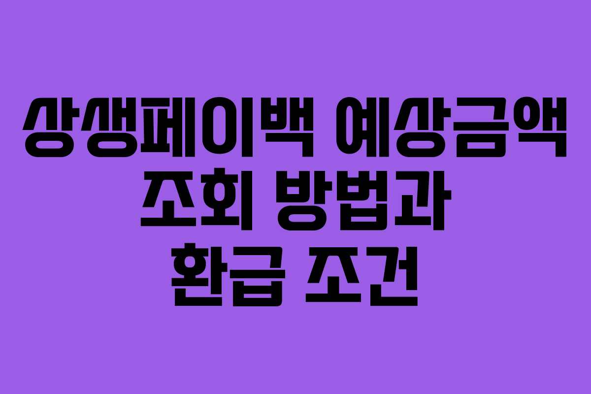 상생페이백 예상금액 조회 방법과 환급 조건
