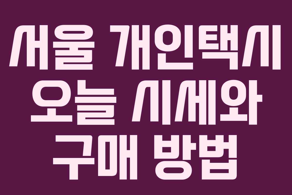 서울 개인택시 오늘 시세와 구매 방법