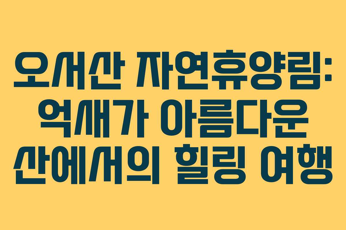 오서산 자연휴양림: 억새가 아름다운 산에서의 힐링 여행