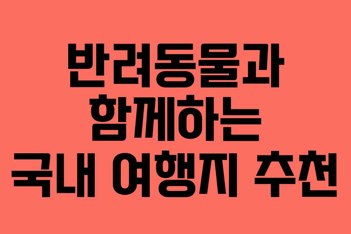 반려동물과 함께하는 국내 여행지 추천