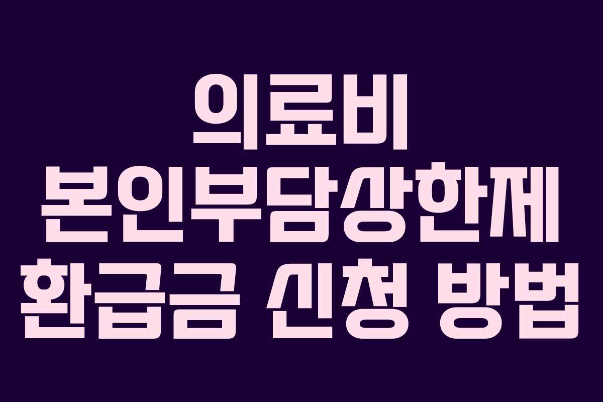 의료비 본인부담상한제 환급금 신청 방법 의료비 본인부담상한제 환급금 신청 방법