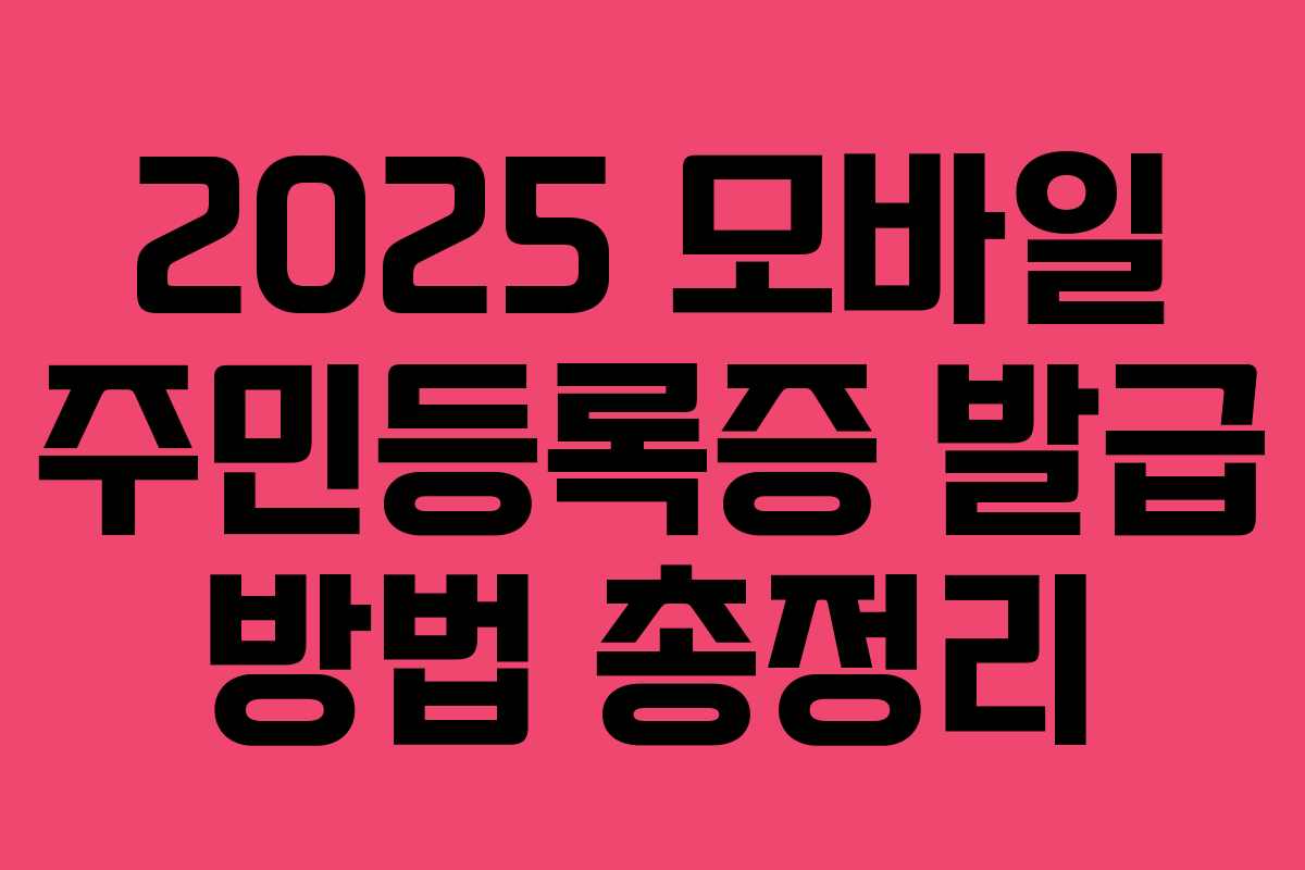2025 모바일 주민등록증 발급 방법 총정리