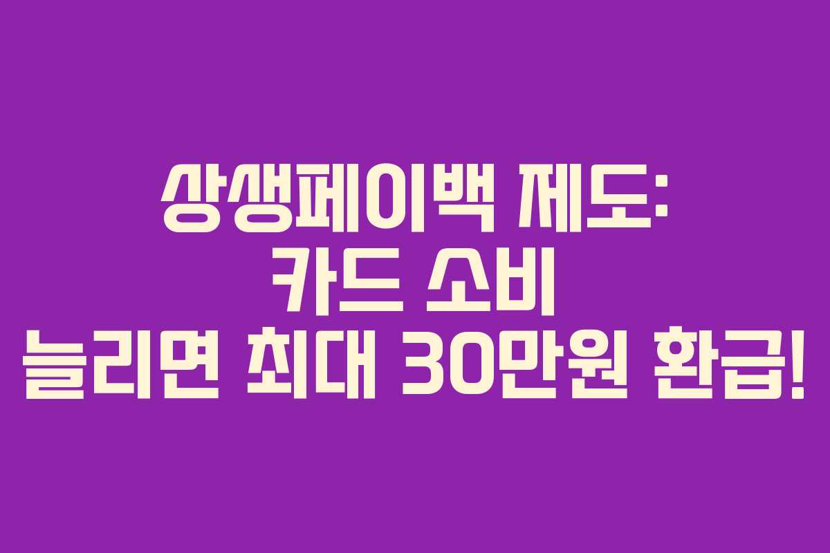 상생페이백 제도: 카드 소비 늘리면 최대 30만원 환급!