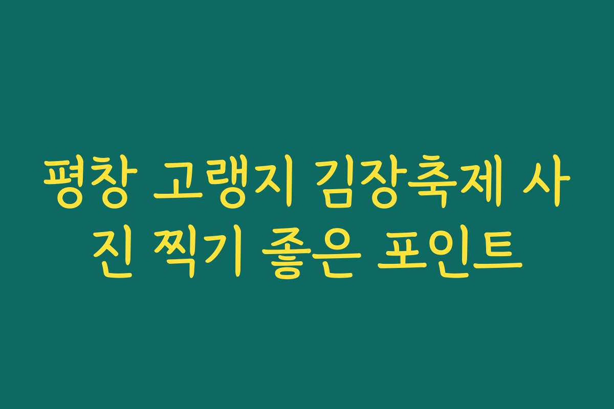 평창 고랭지 김장축제 사진 찍기 좋은 포인트