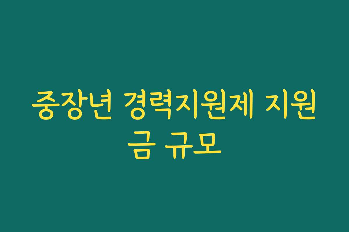 중장년 경력지원제 지원금 규모