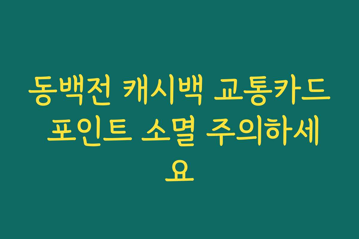 동백전 캐시백 교통카드 포인트 소멸 주의하세요