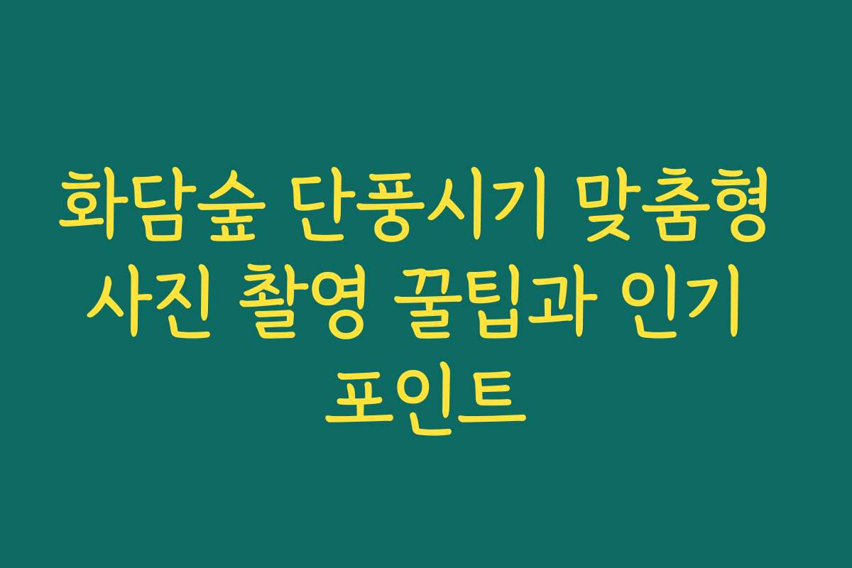 화담숲 단풍시기 맞춤형 사진 촬영 꿀팁과 인기 포인트