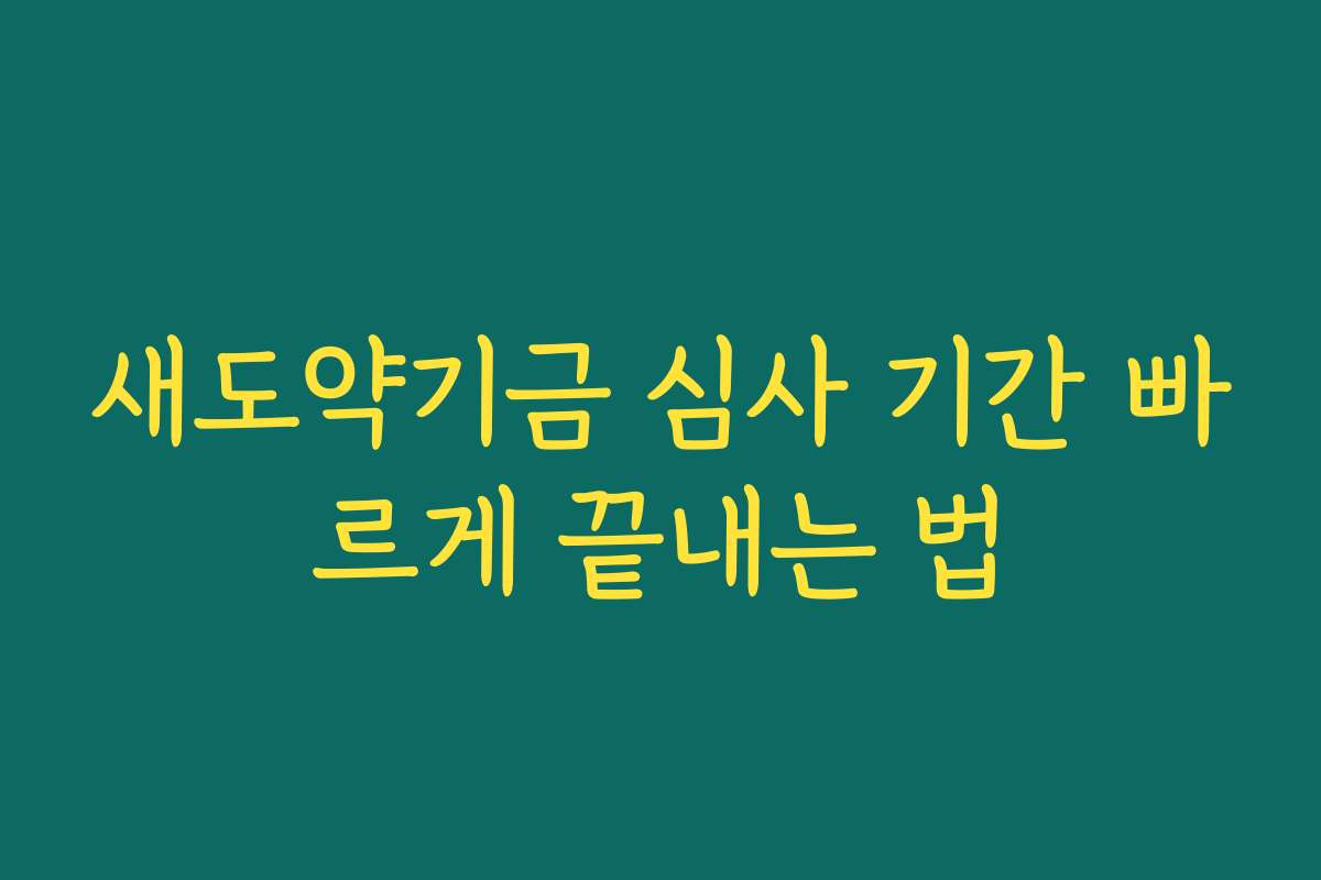 새도약기금 심사 기간 빠르게 끝내는 법
