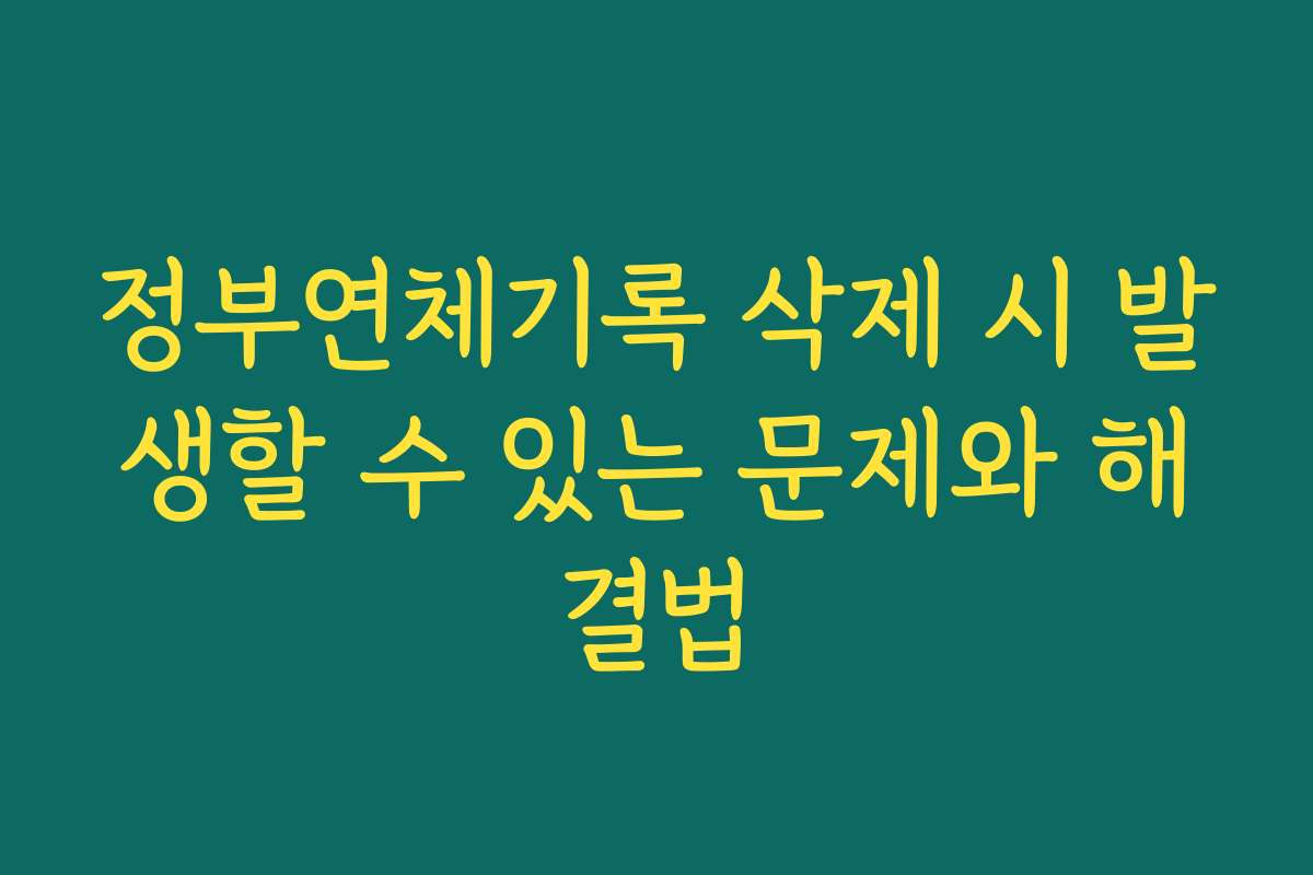 정부연체기록 삭제 시 발생할 수 있는 문제와 해결법