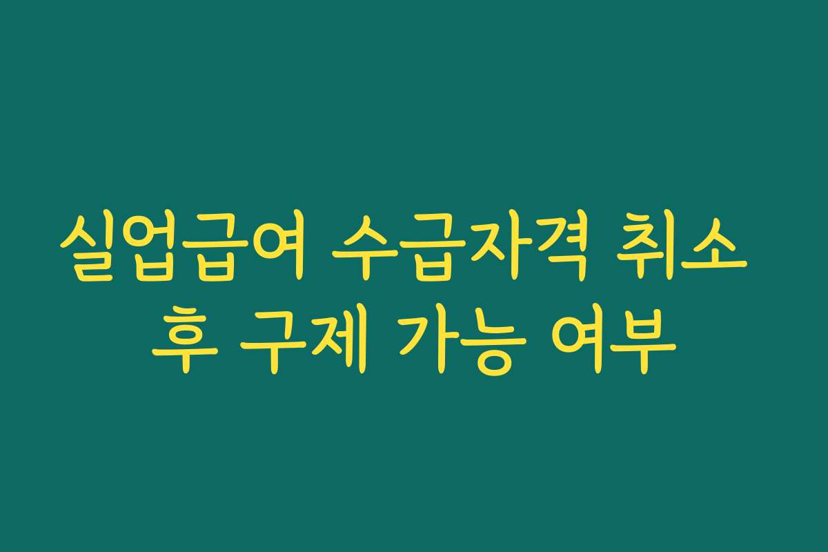 실업급여 수급자격 취소 후 구제 가능 여부