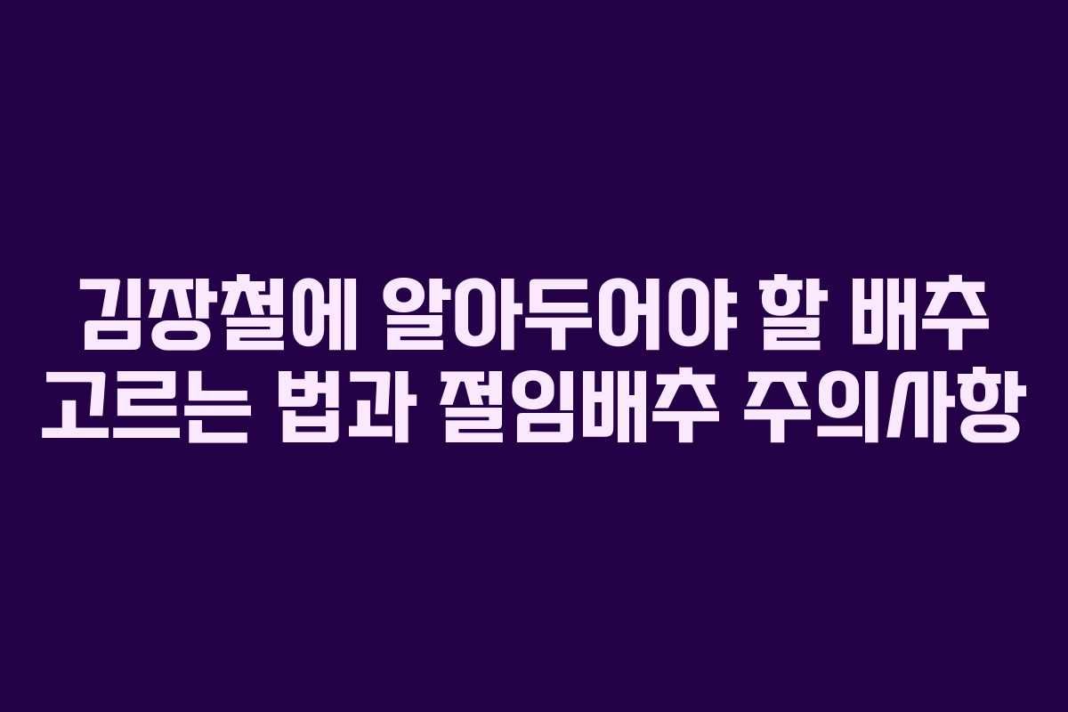 김장철에 알아두어야 할 배추 고르는 법과 절임배추 주의사항