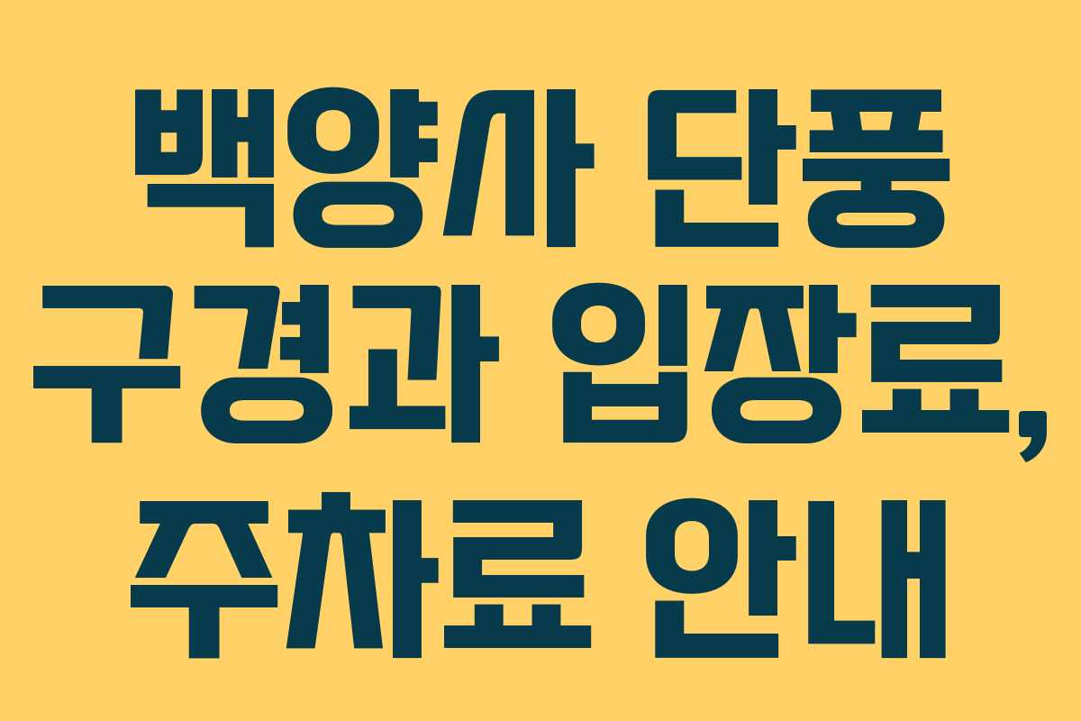 백양사 단풍 구경과 입장료, 주차료 안내