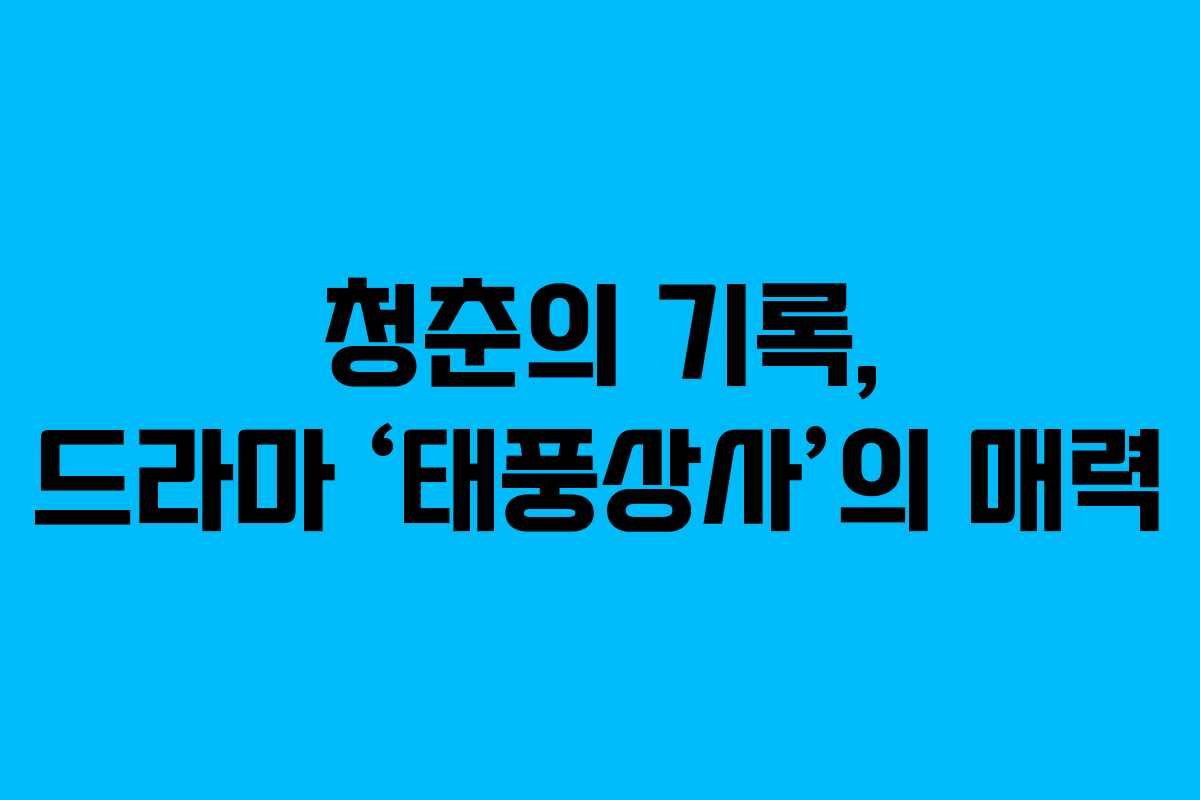청춘의 기록, 드라마 ‘태풍상사’의 매력