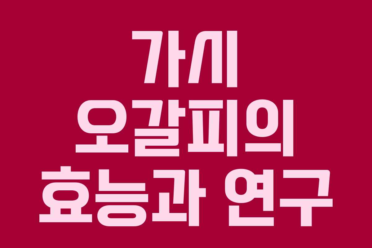 가시 오갈피의 효능과 연구 가시 오갈피의 효능과 연구