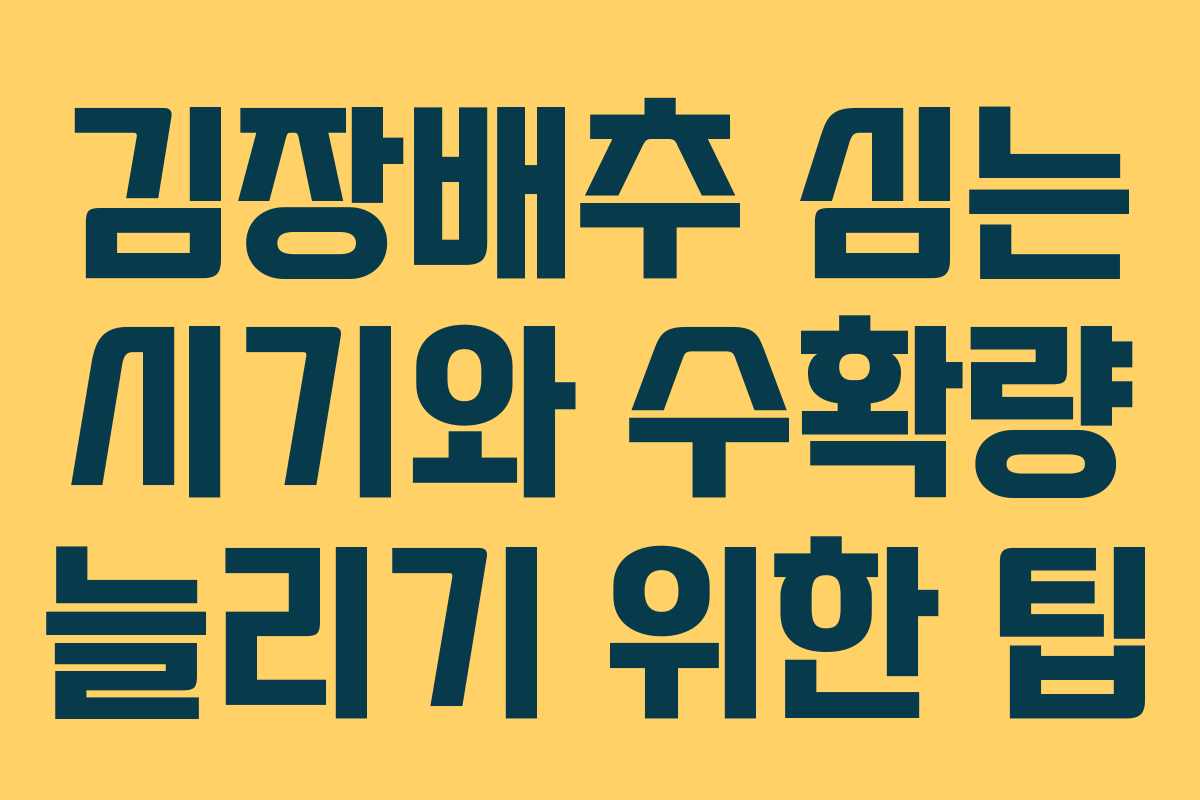 김장배추 심는 시기와 수확량 늘리기 위한 팁