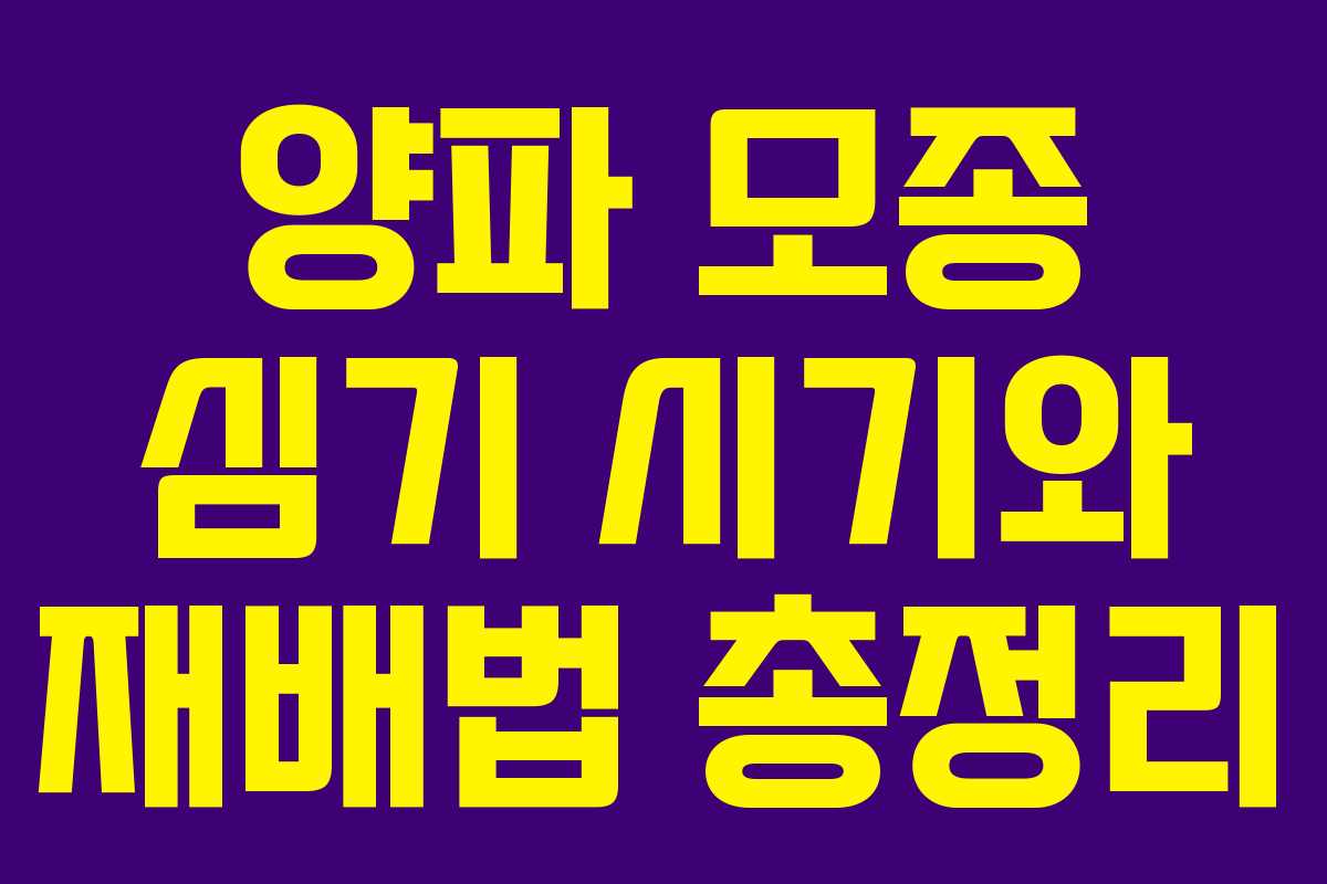 양파 모종 심기 시기와 재배법 총정리 양파 모종 심기 시기와 재배법 총정리