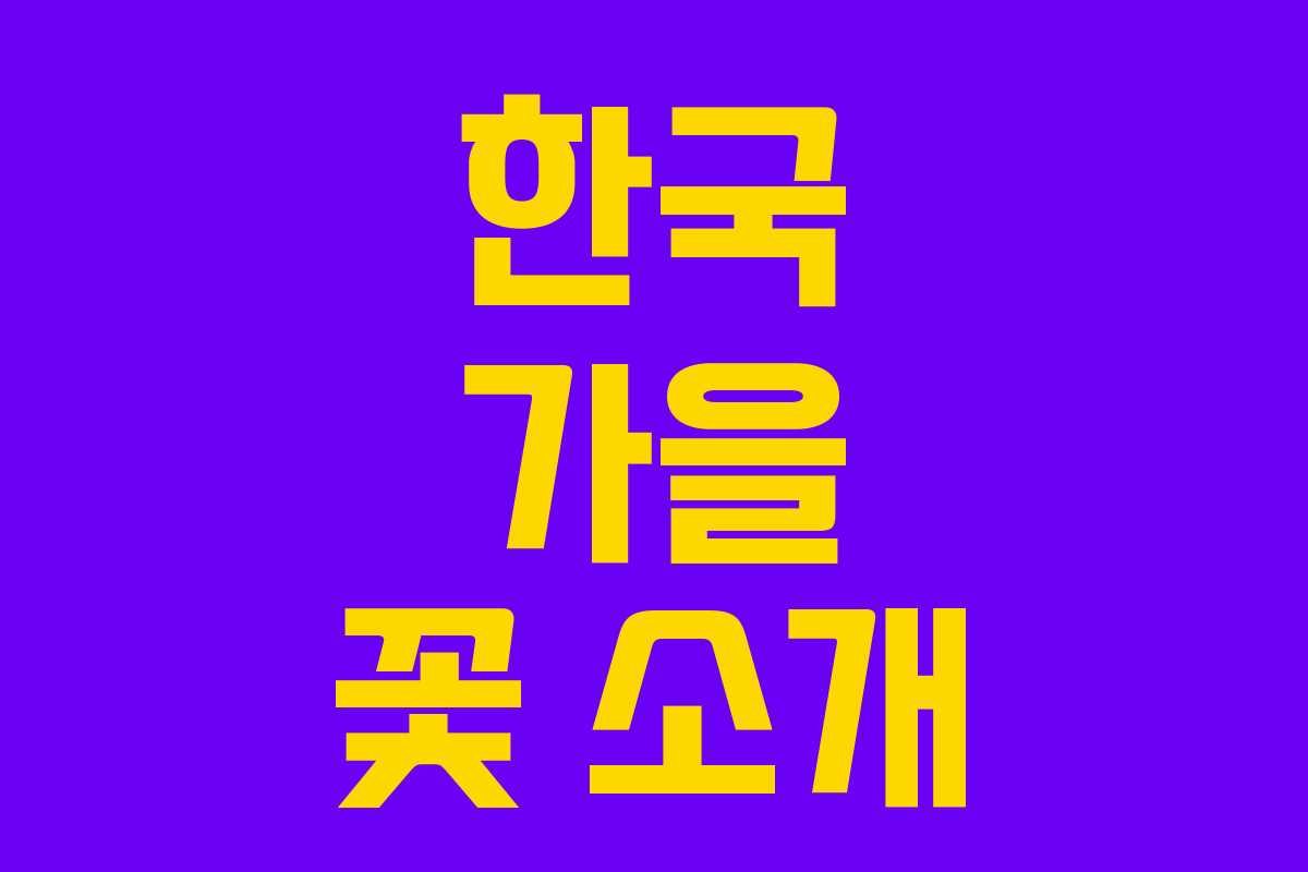 한국 가을 꽃 소개 한국 가을 꽃 소개