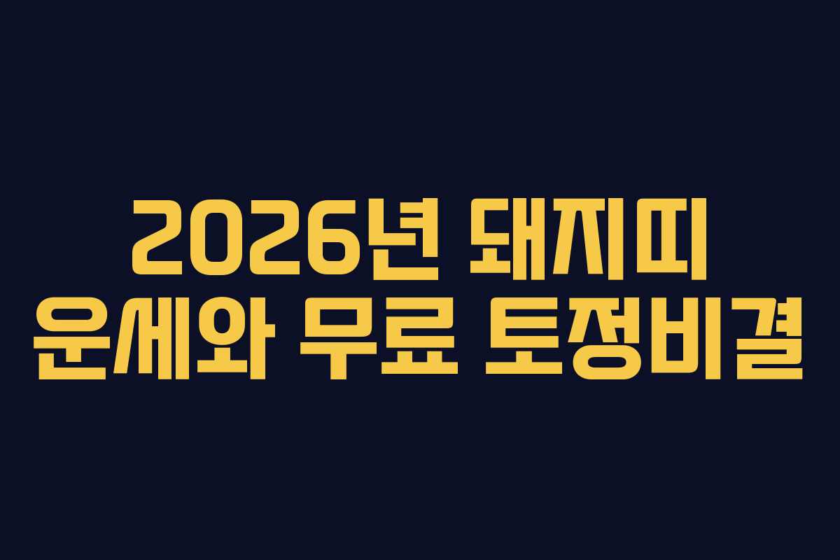 2026년 돼지띠 운세와 무료 토정비결