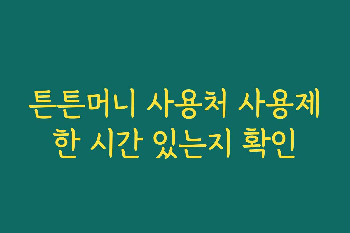 튼튼머니 사용처 사용제한 시간 있는지 확인 튼튼머니 사용처 사용제한 시간 있는지 확인