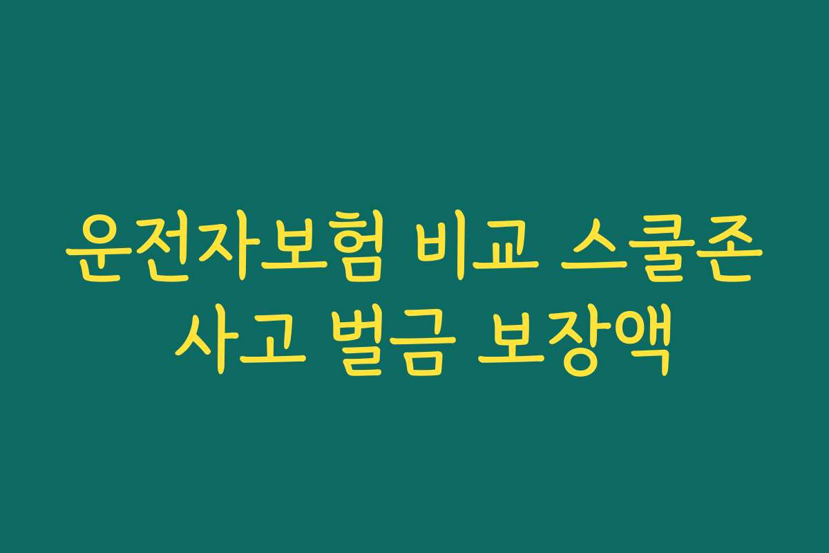 운전자보험 비교 스쿨존 사고 벌금 보장액 운전자보험 비교 스쿨존 사고 벌금 보장액