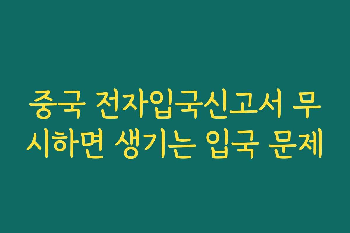 중국 전자입국신고서 무시하면 생기는 입국 문제