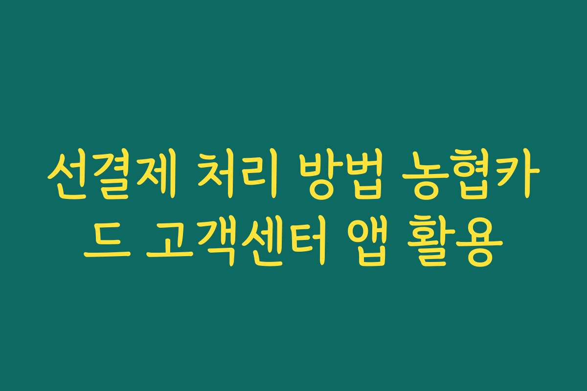 선결제 처리 방법 농협카드 고객센터 앱 활용